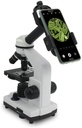 Adaptateur universel de smartphone sur oculaire microscope/loupe binoculaire/télescope/jumelles