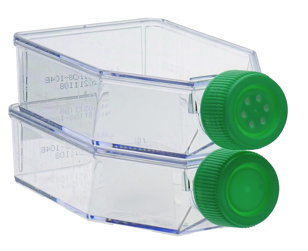 Flacons stériles de culture - Lot de 10