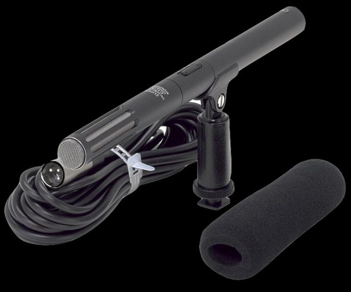 [S58692] Micro directionnel à condensateur + 1 LR6 + WOODK123