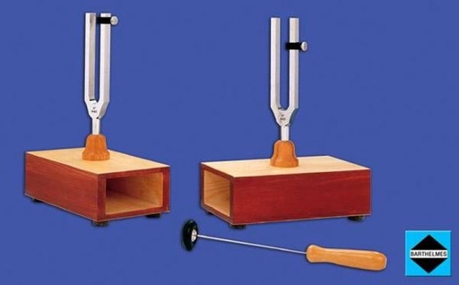 [S58205] Paire de diapasons 440 Hz avec 2 masses et marteau qualité sup
