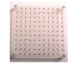 [001004-S03257] Spectre magnétique 2D - 150 x 150 mm