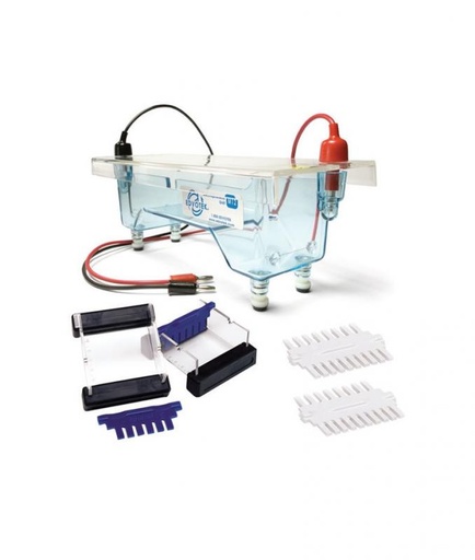 [025002-S65814] Cuve pour électrophorèse d'ADN 1 poste Edvotek