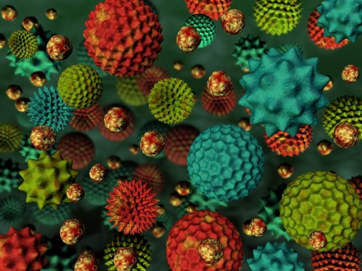 [027361-S68225] Pollens en suspension: Graminée  