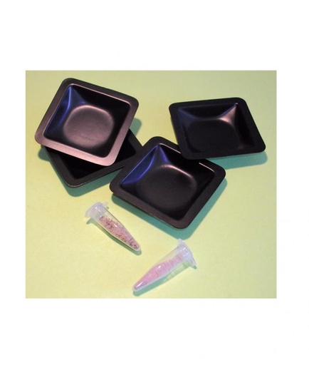 [031019-S64431] Kit de TP : Marnes de Bidart en résidu sec