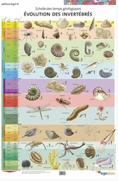 [053090-S68625] Affiche échelle des temps géologiques : évolution des invertébrés