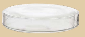 Boîte de Petri en verre ordinaire