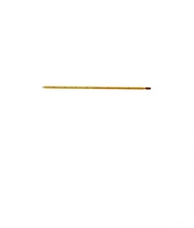 Thermomètre à dilatation à immersion totale L 305 mm