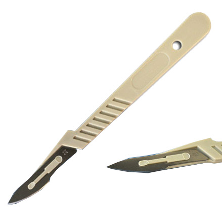 [S69193] Bistouris stériles taille 20 (lot de 10)