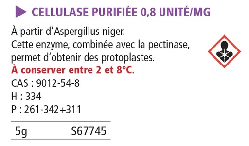 [912014-S67745] Cellulase purifiée (env. 0.8 unité-mg) 5 g