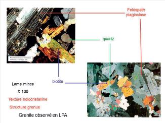 [S58797] Coffret lame mince croûte continentale
