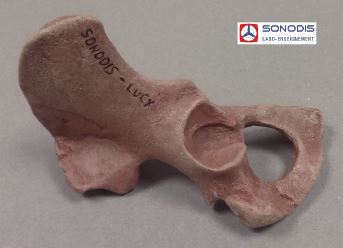 [S64449] Demi bassin Lucy