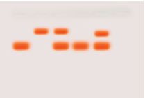 [705092-S67617] Kit anémie falciforme