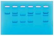 [S67618] Kit détection des gènes drepanocytaires