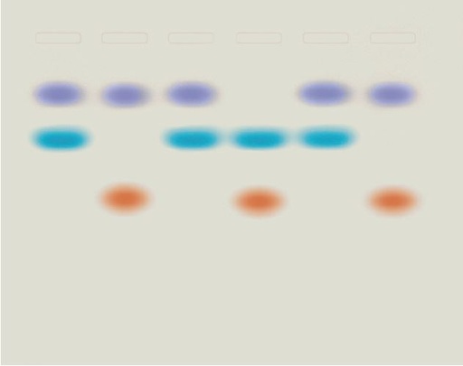 [S67616] Kit détermination de l'ADN d'un suspect