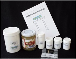 [S67631] Kit enzymes en biotechnologie
