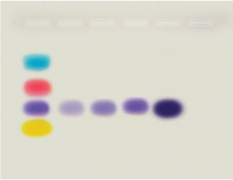 [S67620] Kit qu'est-ce que la PCR et comment ça marche
