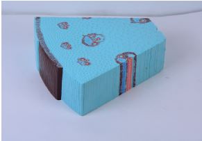 [020071-S57893] Modèle de tige de monocotylédone