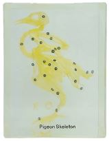 [020036-S68292] Squelette en inclusion résine : Pigeon