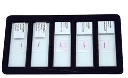 [S67338] Support pour 5 lames microscopiques