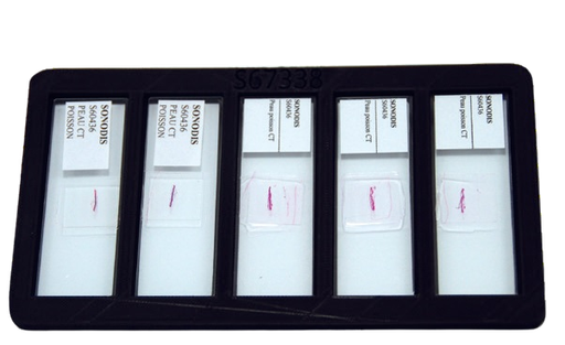 [S67338] Support pour 5 lames microscopiques