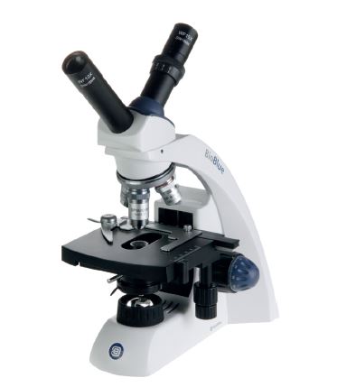 Microscope avec tête à discussion BioBlue Euromex