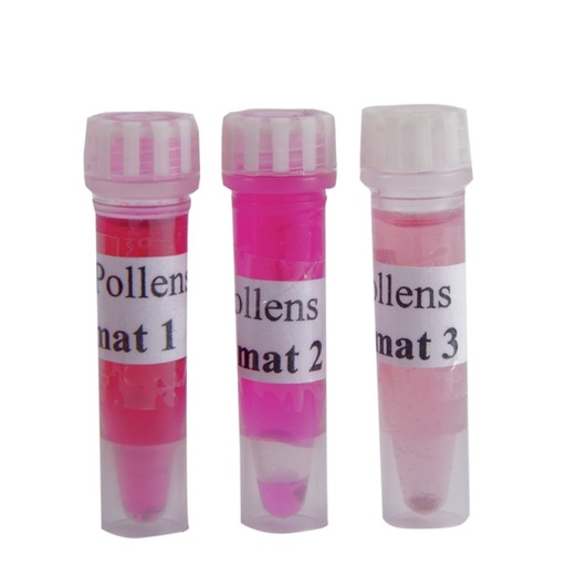 [S58896] Collection de pollens - 3 climats différents - 3 tubes