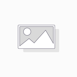 [S03664] Filtre équivalent ORG201 ORG1501 ORG501 Erlab Réf NR1301AS00