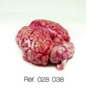 [028038] Cervelle de porc congelée