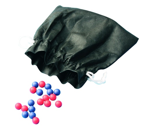 [029001] Ensemble pour étude de la dérive génétique - 2 allèles