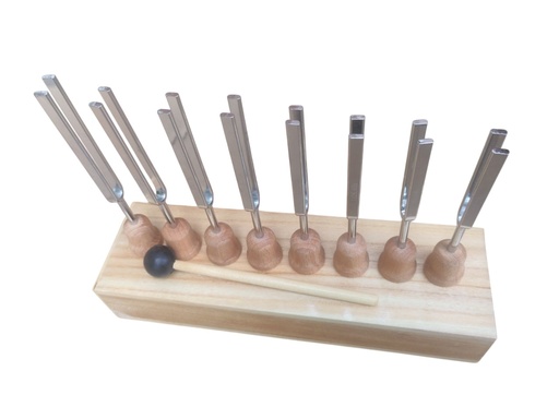 [003044] Caisse de résonance pour 8 diapasons 003028