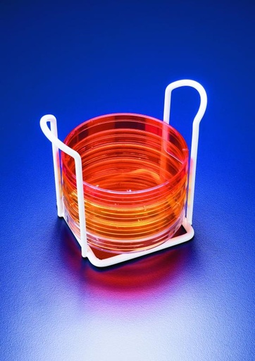 [454036-S69494] Support boîte de Pétri 90 mm